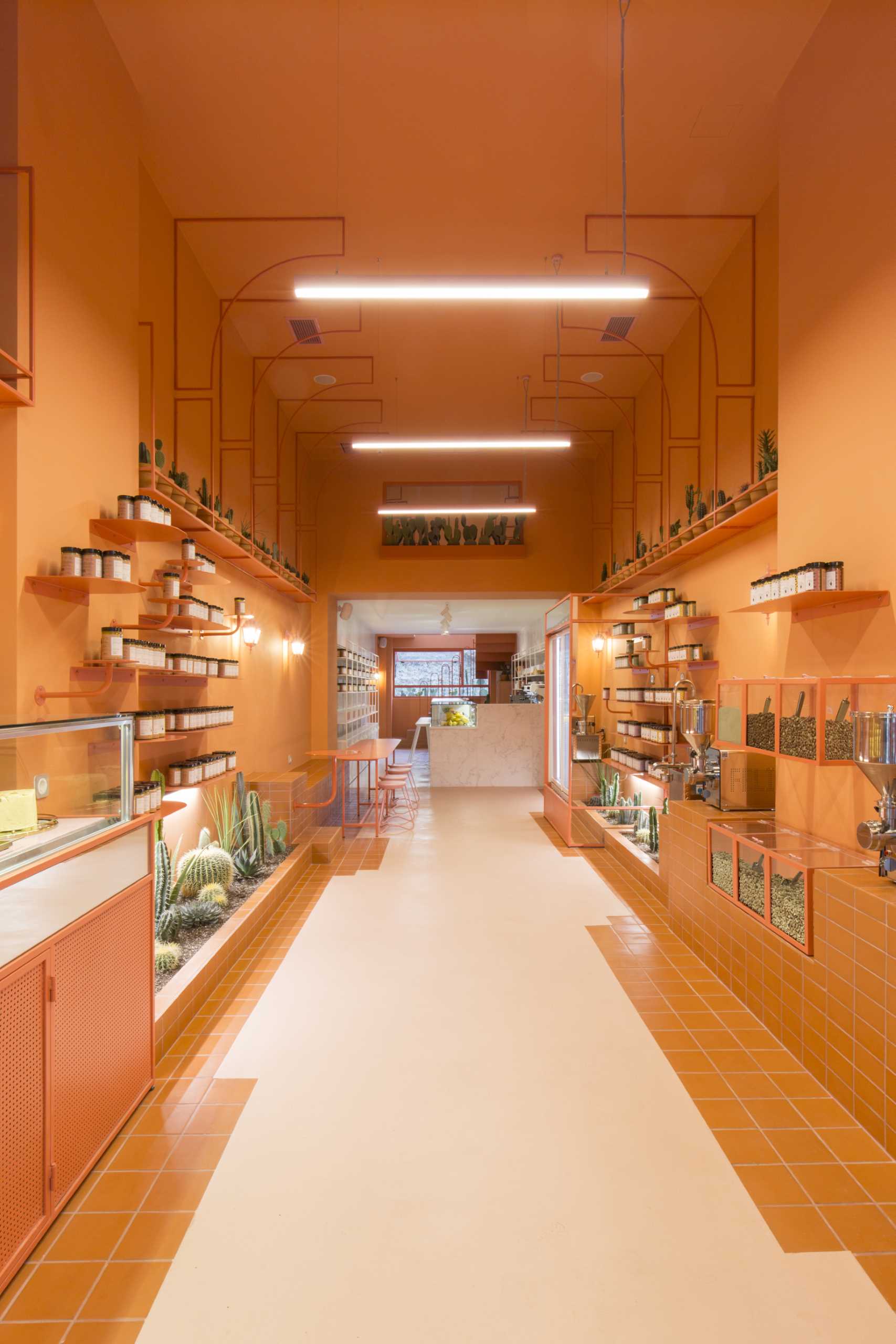 A modern retail store with a monochromatic terracotta interior that also includes built-in planters for cacti.